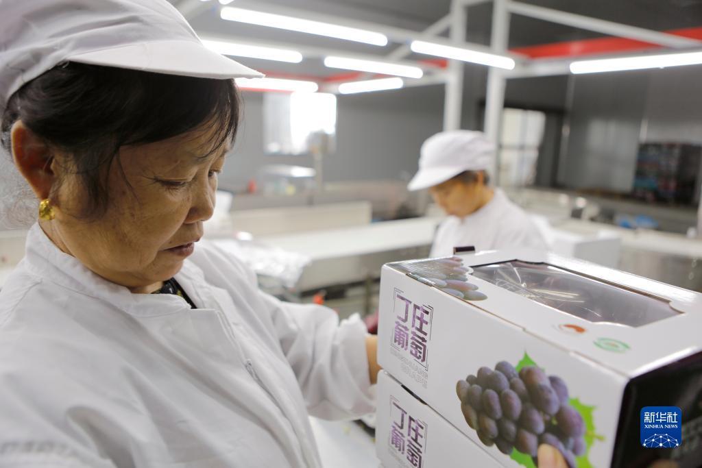 云海捕鱼公众号